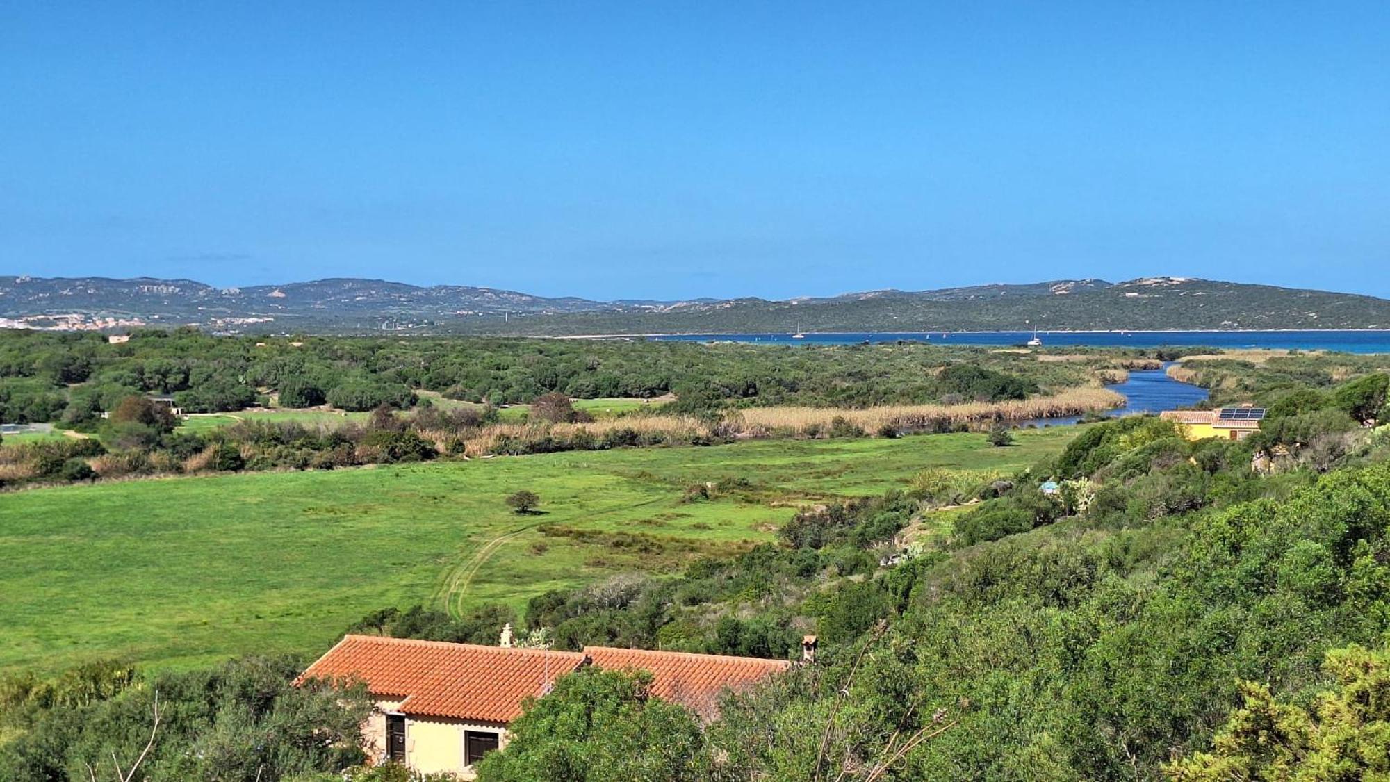 Villa Jana Porto Pollo Buitenkant foto
